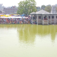 ड्रयागन फ्रुट खेतीमा रमाउँदै कृषक राना