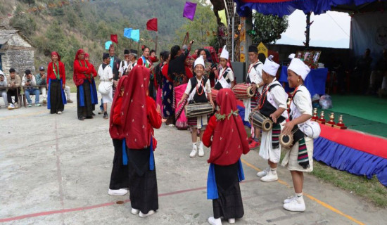अज्ञात समूहद्वारा चार रोपनीको टमाटर उखेलेर नष्ट