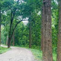 युवा पिँढीलाई सन्देश दिनेगरी काम गरौँ : सञ्चारमन्त्री गुरुङ