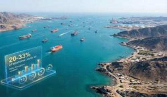 मूल्य वृद्धिविरुद्ध एकल विरोध प्रदर्शन