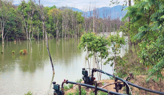 सिँचाइको आधार बन्दै कृत्रिम जलाशय
