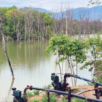 कृषि क्षेत्र विशेष प्राथमिकतामा