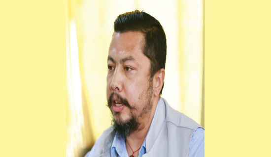 ऊर्जा विकासमा बत्तिसबुँदे निर्देशन