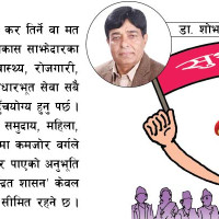 ऊर्जा विकासमा बत्तिसबुँदे निर्देशन