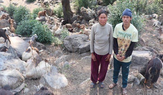 ऊर्जा विकासमा बत्तिसबुँदे निर्देशन