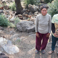 अर्थतन्त्रमा व्यापक सुधारको तयारी