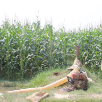 ‘विद्रोहको मर्मलाई मर्न नदिने गरी काम गर्छु’