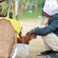 सुशासनप्रति दृढ सङ्कल्प