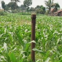 जाजरकोटमा डुबेर दुई जनाको मृत्यु