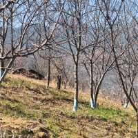 युद्ध अन्त्य गर्न भारतको आग्रह