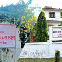 आयोजक झापा–११ सेमिफाइनलमा