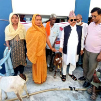 शक्तिशाली भनिएको आयोगको कमजोर उपलब्धि