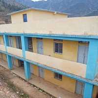 'मिनी पीसीएनएल' प्रविधिकाे २० वर्ष