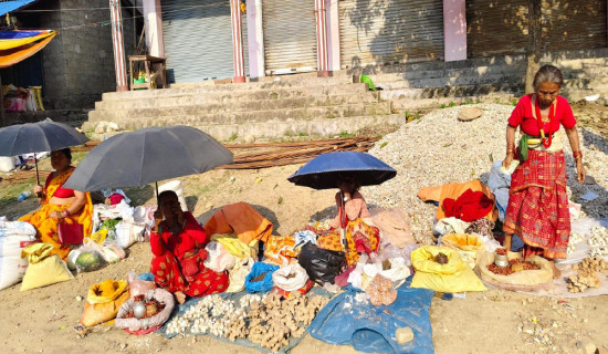 ‘कसैसँग छैन आशा, गर्छन् सडकमै सङ्घर्ष’