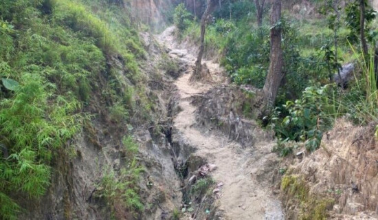 त्रिवेणी–दुम्किबास सडकमा प्रधानमन्त्रीको चासो