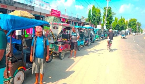 वैदेशिक रोजगारीको विकल्प बन्दै ई रिक्सा