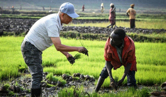 रूसतर्फ अफ्रिकी किसान सार्ने पहल