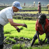 लागुऔषधसहित विभिन्न स्थानबाट २४ जना पक्राउ