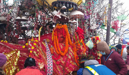 पीएम कप क्रिकेटको उपाधि आर्मीले उचाल्यो : सुदूरपश्चिम पाँच विकेटले पराजित