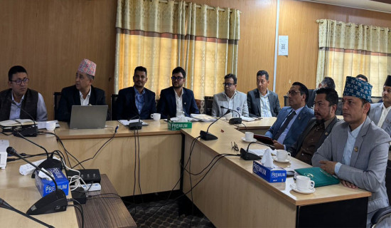 टर्कीमा ११ आप्रवासी पक्राउ