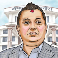 बाजुरामा ८० प्रतिशत रोपाइँ सम्पन्न