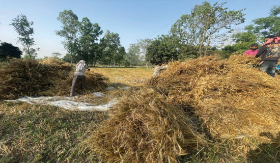 लायन्स क्लबद्वारा ब्लड बैङ्क स्थापना