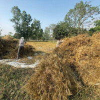 रोवर्टवाटै फुटबल प्रतियोगिता