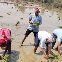 जोखिम मोलेर बचाउने सङ्कल्प