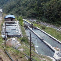 जोखिम मोलेर बचाउने सङ्कल्प