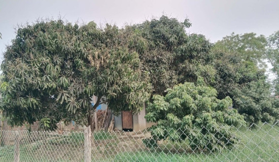 महिनावारी विभेदविरुद्ध अभियान