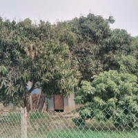 जोखिम मोलेर बचाउने सङ्कल्प