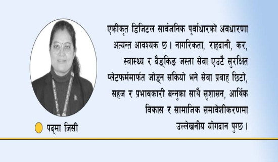 डिजिटल रूपान्तरणका आधार