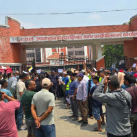 तुलसीपुरमा पहिलो पटक चैते धान