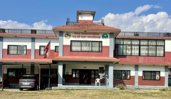 सरकारी विज्ञापनमा पहुँच