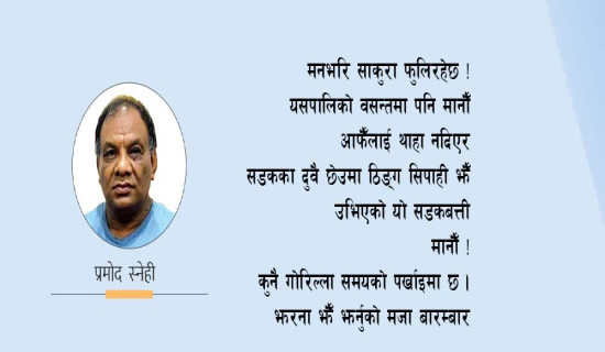 साकुराको फेदमुनि (कविता)