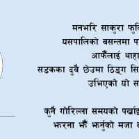 साकुराको फेदमुनि (कविता)