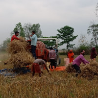 कठघरामा सङ्ग्रहालय