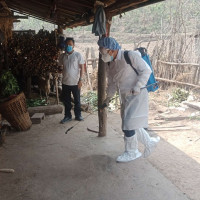 फाल्गुनन्द अध्यक्ष कप : उपाधिका लागि आज आयोजक र झापा भिड्दै