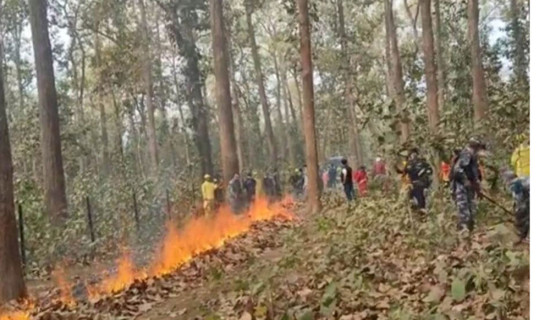 तनहुँमा घर–घरमै राहदानी वितरण सुरु