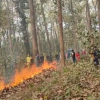 टुँडिखेलमा साकेला रौनक (फोटो फिचर)