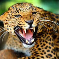 निष्पक्ष र पारदर्शी पत्रकारितामा जोड दिन राज्यमन्त्री चेम्जोङको आग्रह