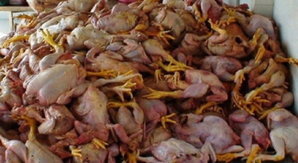 मरेको कुखुराको मासु खाँदा दाजुभाइको मृत्यु