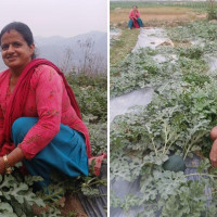 मनाङका विद्यालय खुल्न थाले