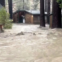 भारुसँग बलियो डलर दोषबेगरको नेरु कमजोर