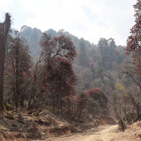 भारतमा महिला आरक्षण विधेयक बहसमा