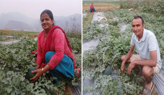 प्रधानमन्त्रीद्वारा काठमाडौं–तराई/मधेश द्रुतमार्ग अवलोकन