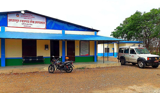 दाङमा यस वर्ष मह उत्पादनमा कमी