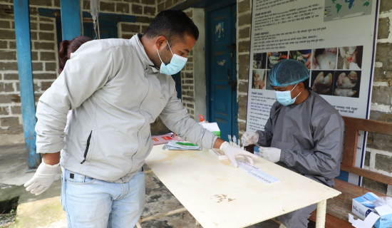 ताप्लेजुङलाई बर्डफ्लु मुक्त बनाउने अभियान