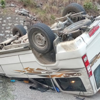 लोपोन्मुख हिउँ चितुवा संरक्षणको केन्द्रमा राख्न माग