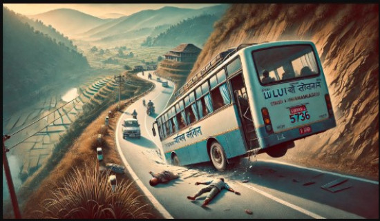 सल्यानमा  जन्ती बोकेको गाडी दुर्घटना, १८ जना घाइते